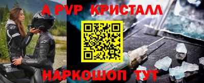 гашик Донской