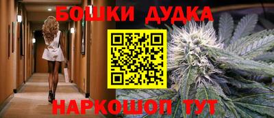гашик Донской