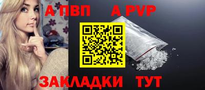 гашик Донской