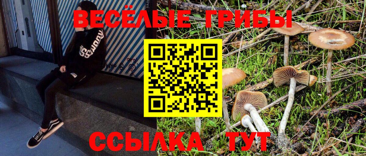 Галлюциногенные грибы Psilocybine cubensis  Вход с VPN  Советский 
