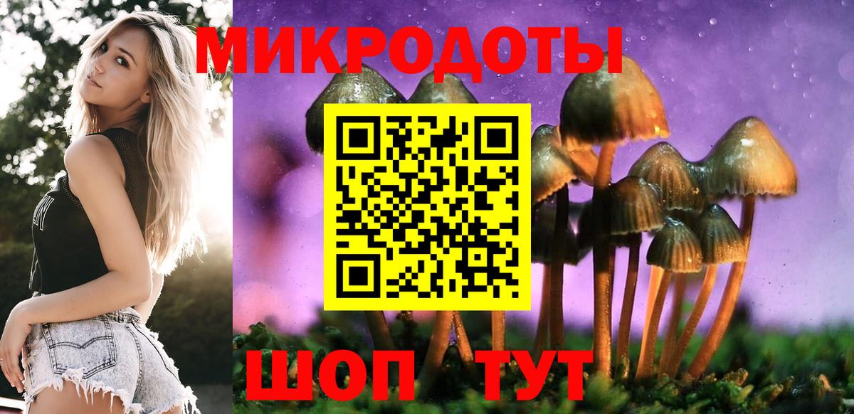 Псилоцибиновые грибы Cubensis Советский